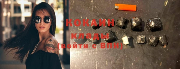 индика Горно-Алтайск
