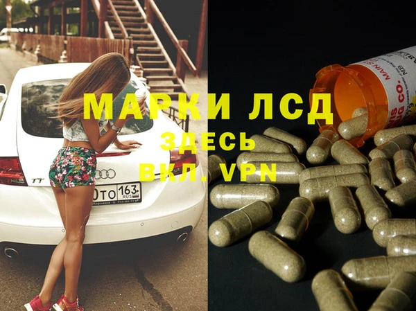 индика Горно-Алтайск