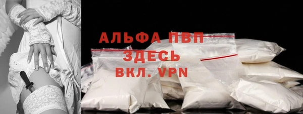 индика Горно-Алтайск