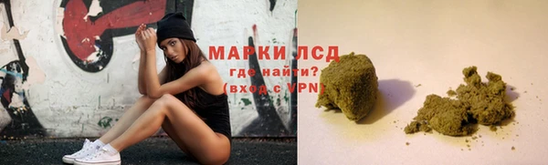 индика Горно-Алтайск