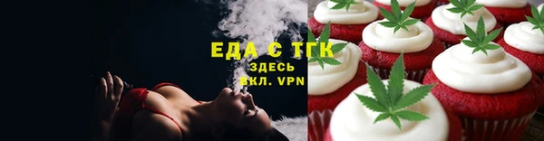 индика Горно-Алтайск
