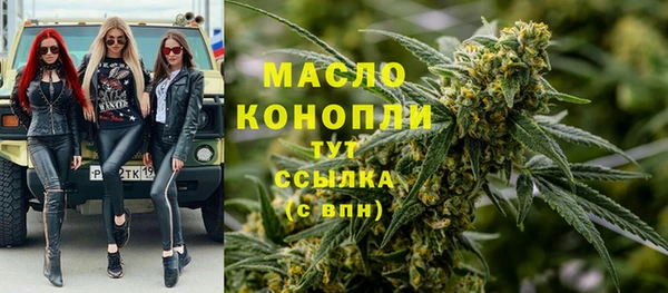 индика Горно-Алтайск