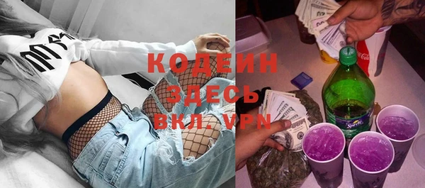 индика Горно-Алтайск