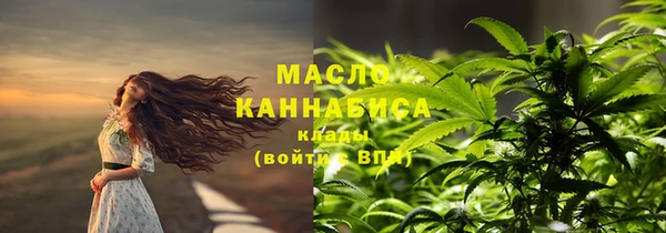 индика Горно-Алтайск