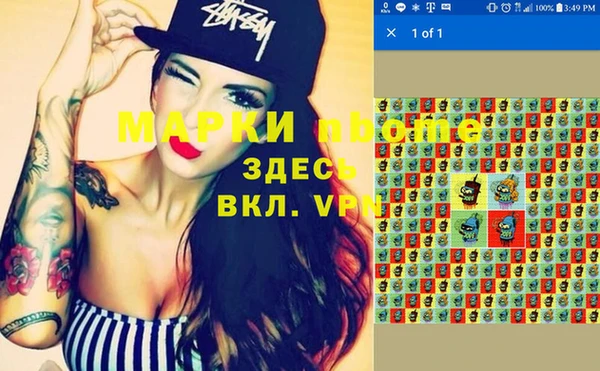 индика Горно-Алтайск